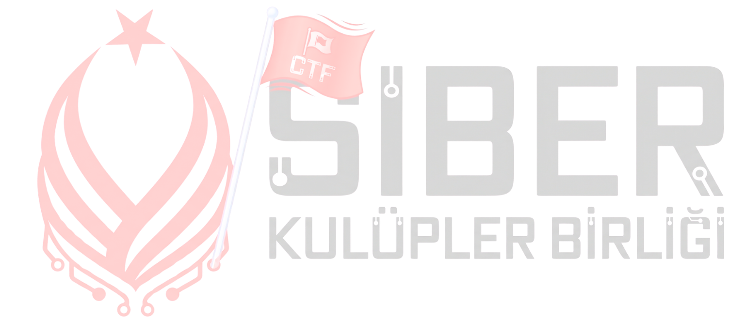 Siberkulupler CTF